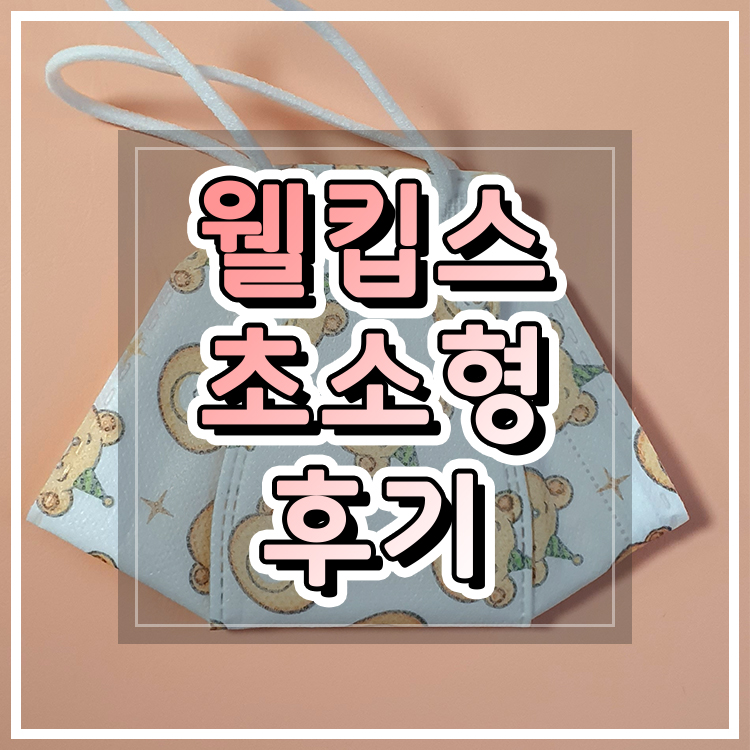  [내돈내산] 웰킵스 KF94 초소형 마스크 착용후기 및 정보