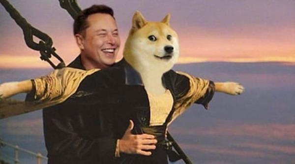 SpaceX와 Tesla 창립자 Elon Musk의 Dogecoin에 대한 사랑 3