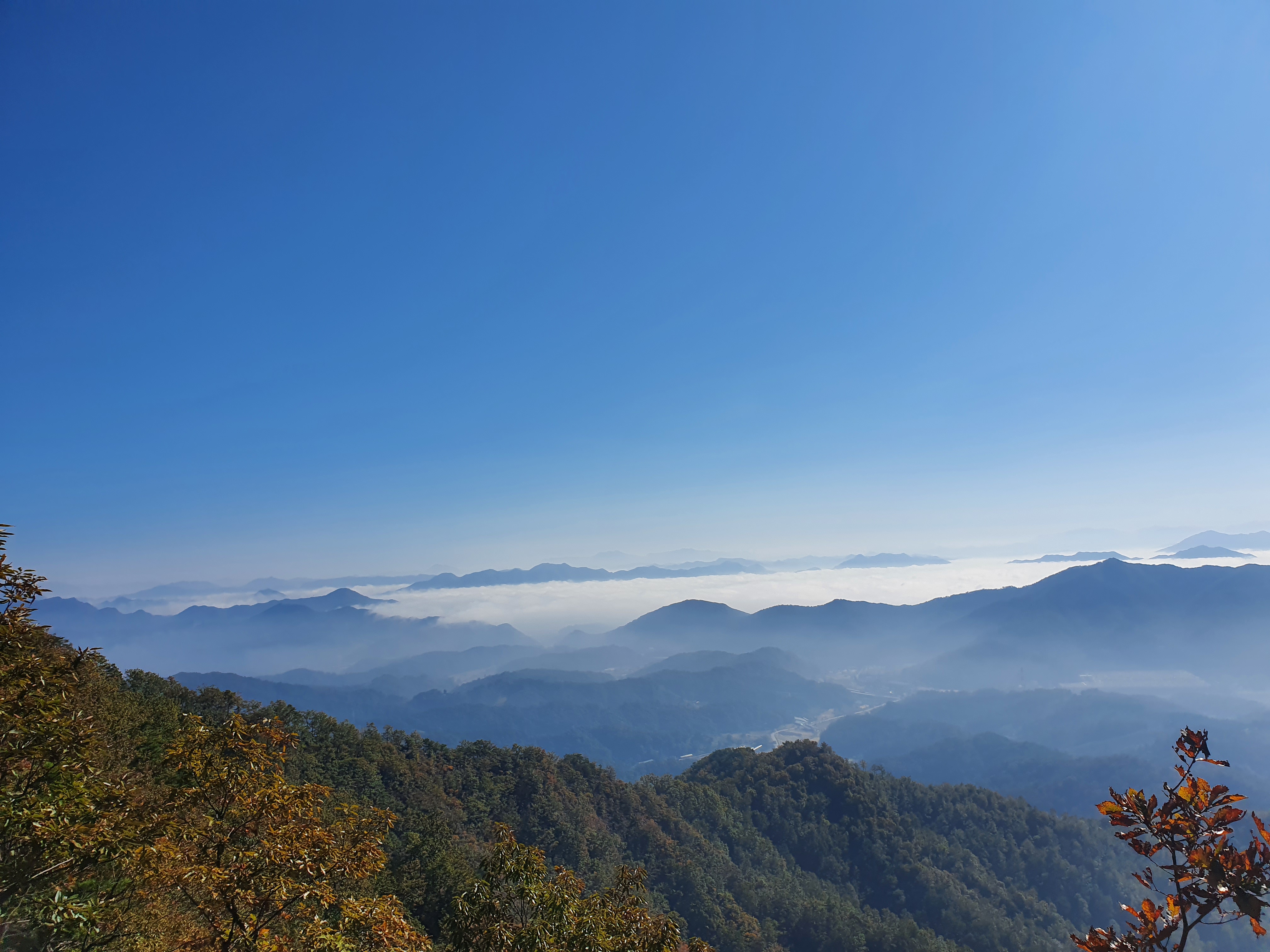  대전 식장산 등산코스 (세천공원→구절사→독수리봉→식장산→전망대→세천공원)