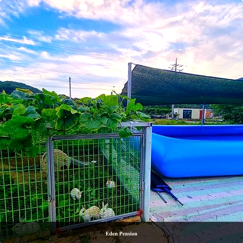Eden Pension_5