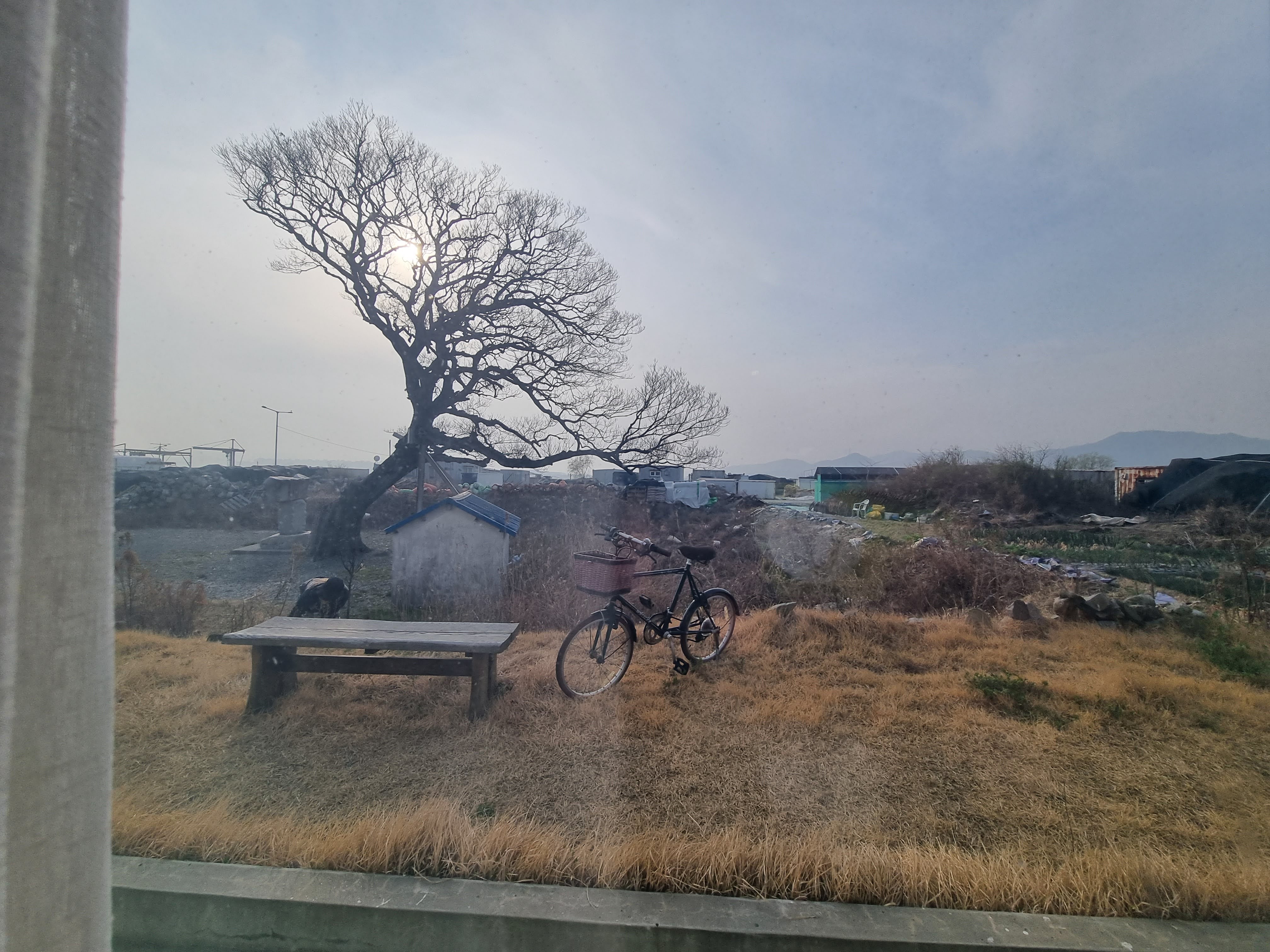 (부산명지트리카페) 행루베이커리 / 메뉴, 주차장 10