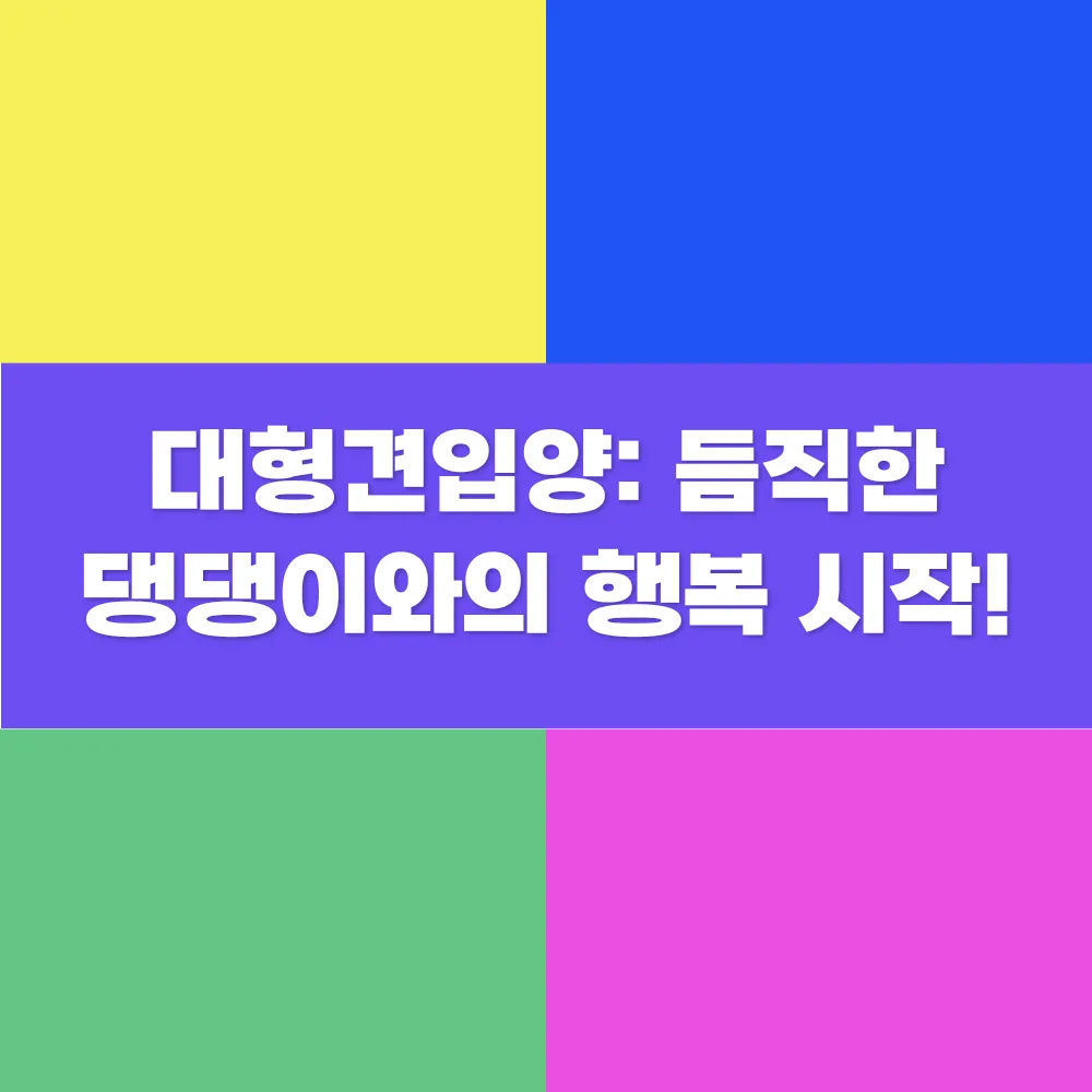 썸네일 이미지