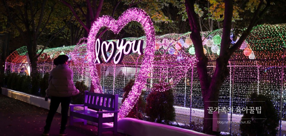 경북 축제 경북 아이와가볼만한곳 청도 7