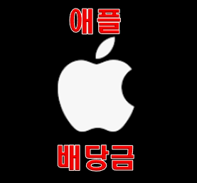  애플 배당금 추이 점점 줄어드는데?