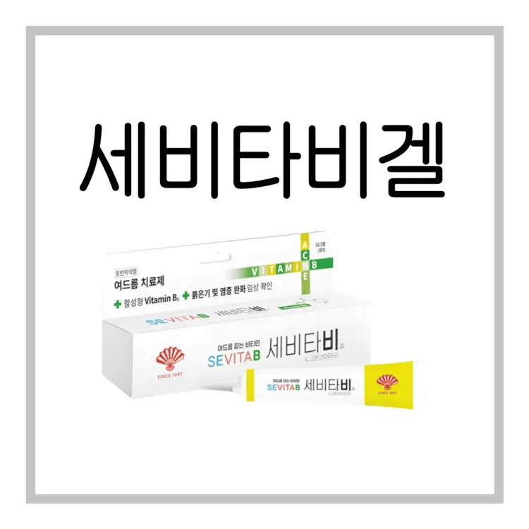세비타비겔-이미지
