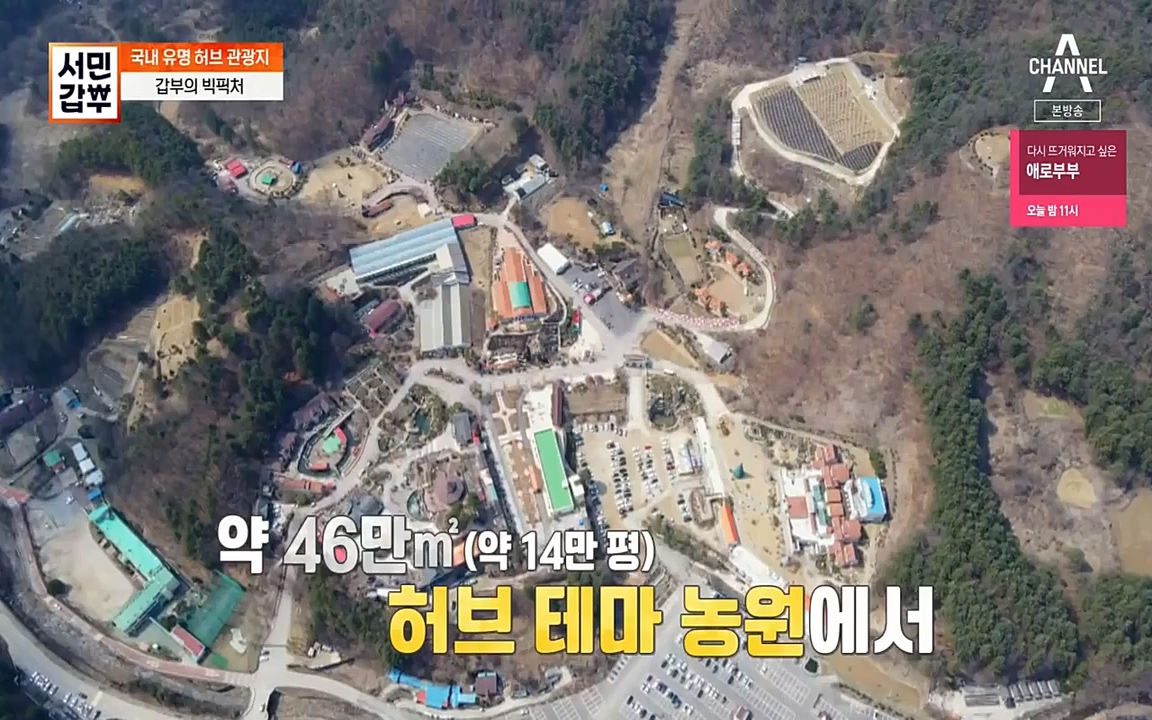 서민 갑부.E380.220424p-NEXT.mp4_20220424_184346.368.jpg