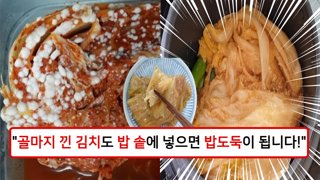 “묵은지의 감칠 맛이 폭발합니다!” 전기밥솥에서 50분이면 밥도둑 묵은지찜이 완성됩니다.