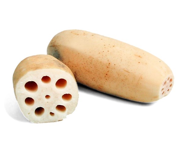  연근 Lotus Root 에 대해서 알아볼게요.