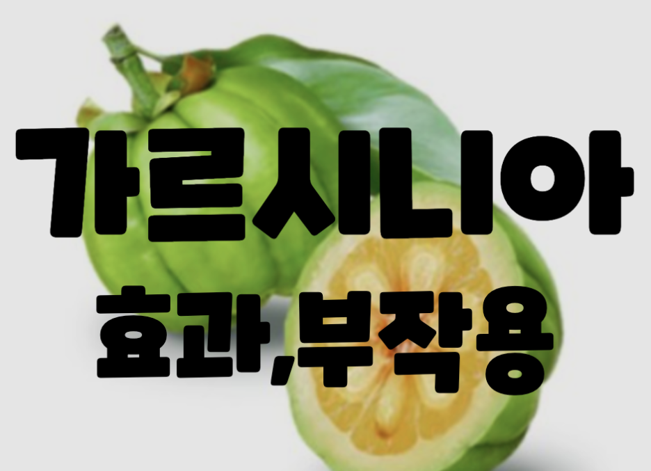  #체지방 감소 가르시니아 효과 확실해? 효능과 과다복용섭취하면....*