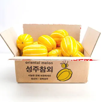 성주 참외 축제 알찬 정보 가요제 행사 일정 완벽 정리_2