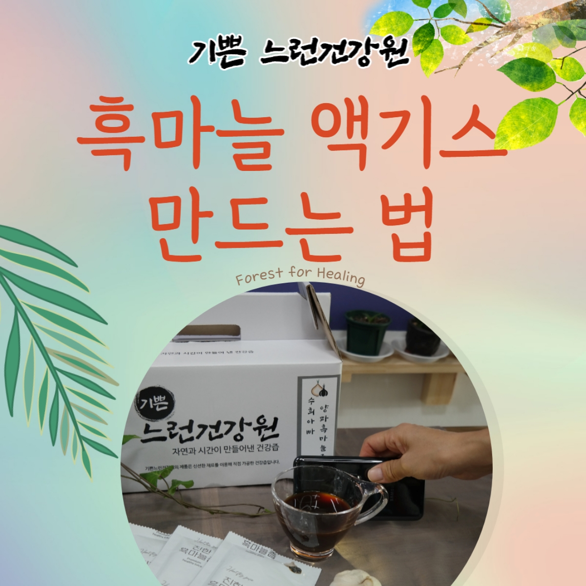 기쁜 느런 건강원의 양파 흑마늘 만드는 법