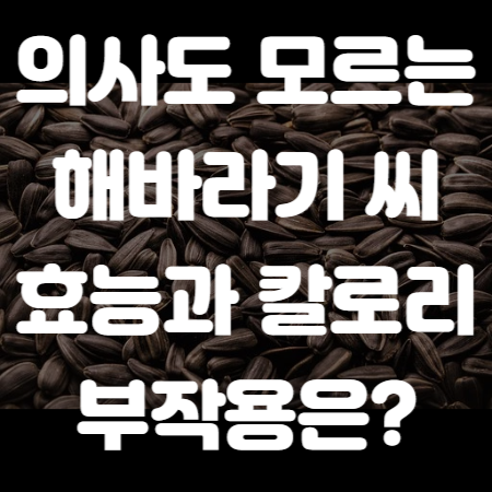 해바라기 씨 효능