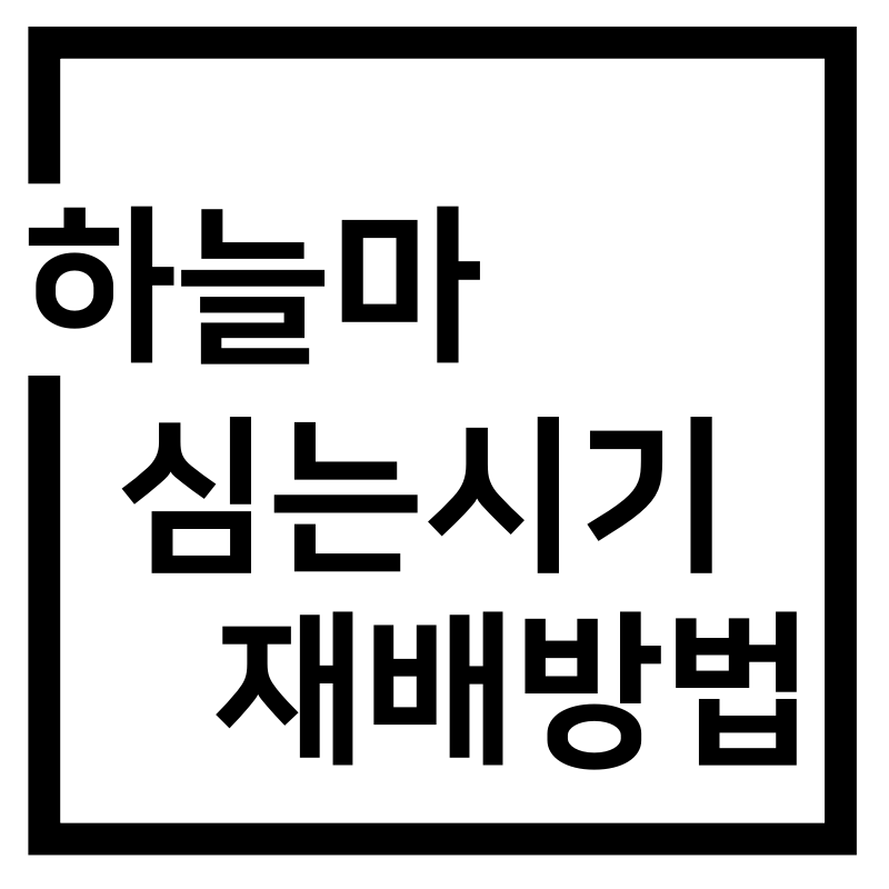  하늘마 파종 심는 시기 넝쿨마 재배방법