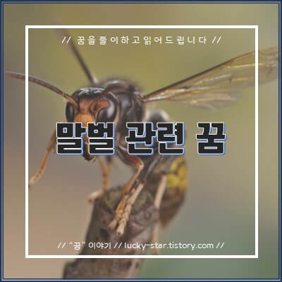  【꿈해몽/꿈풀이】말벌이 나오는 꿈