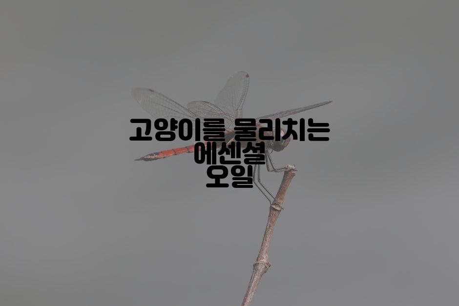 고양이를 물리치는 에센셜 오일