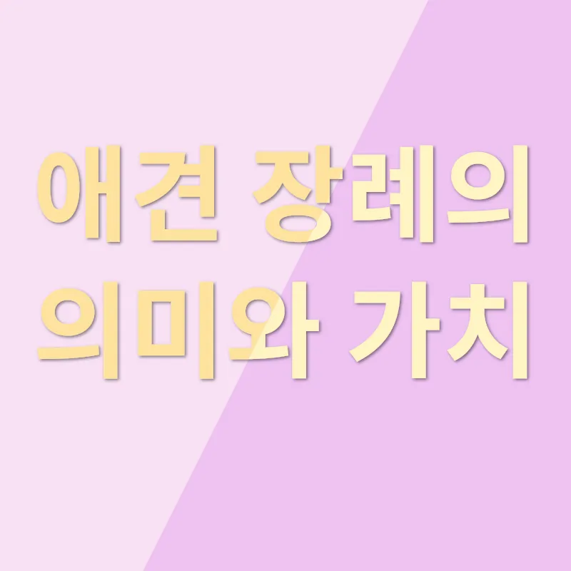 애견 장례_3