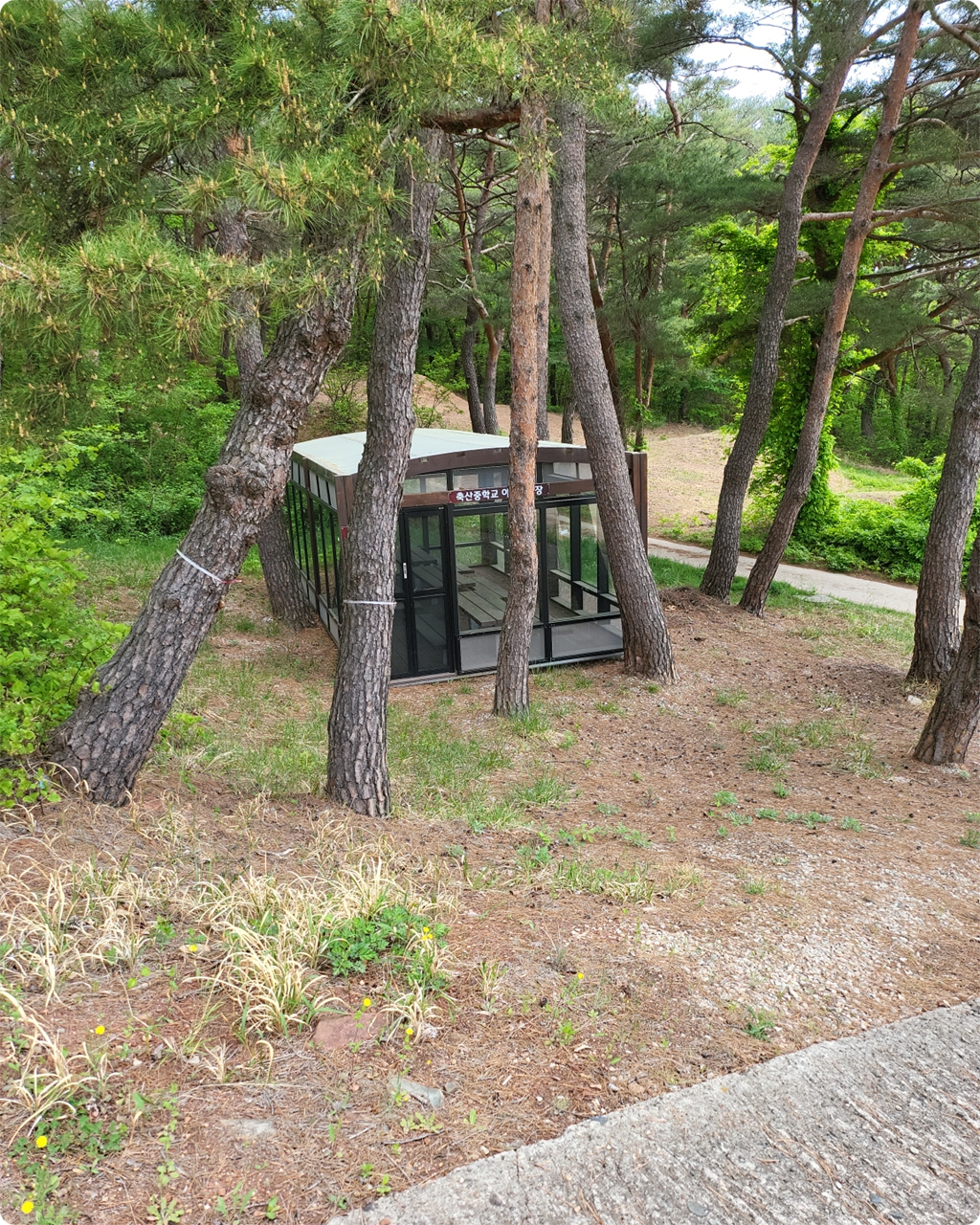 야외 학습장에 산책로가