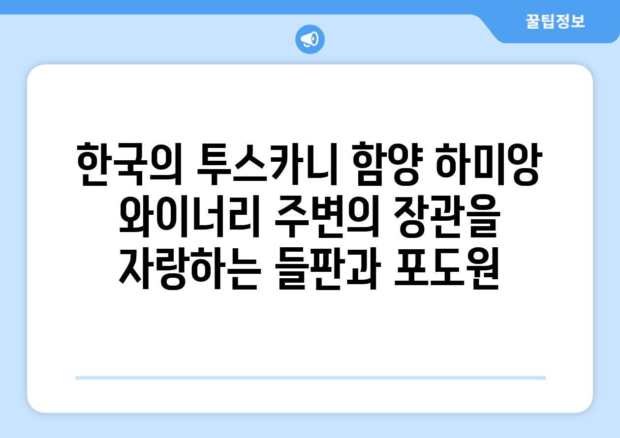 한국의 투스카니 함양 하미앙 와이너리 주변의 장관을 자랑하는 들판과 포도원