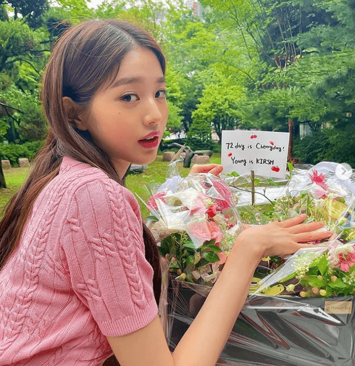  장원영 반팔니트 _ 키르시 핑크 케이블 크롭 반팔 니트 (장원영 인스타그램 패션)
