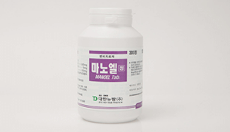 마노엘정