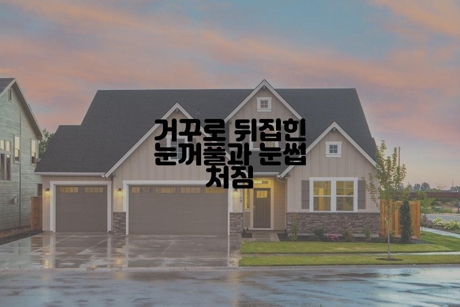거꾸로 뒤집힌 눈꺼풀과 눈썹 처짐