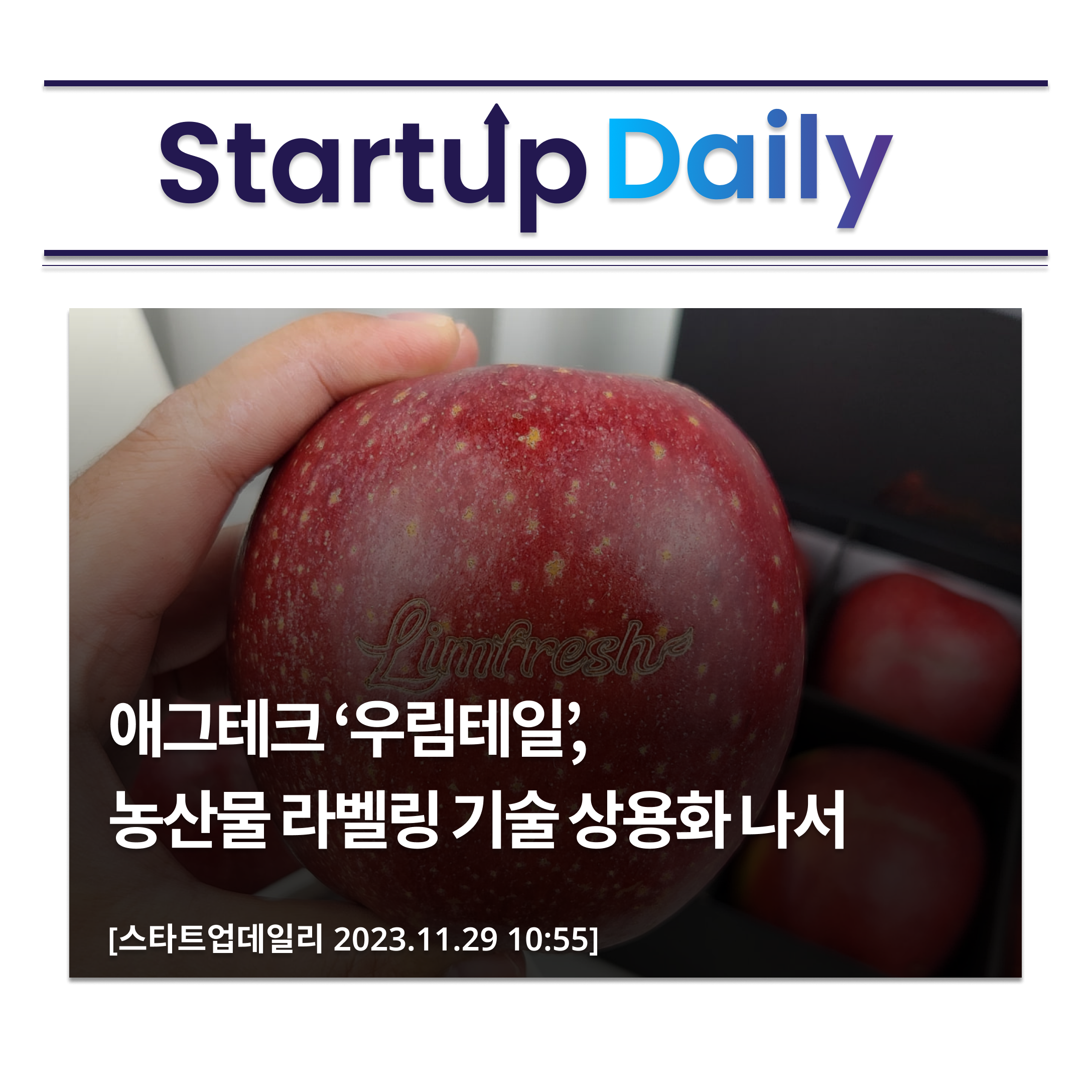 우림농산물 이미지