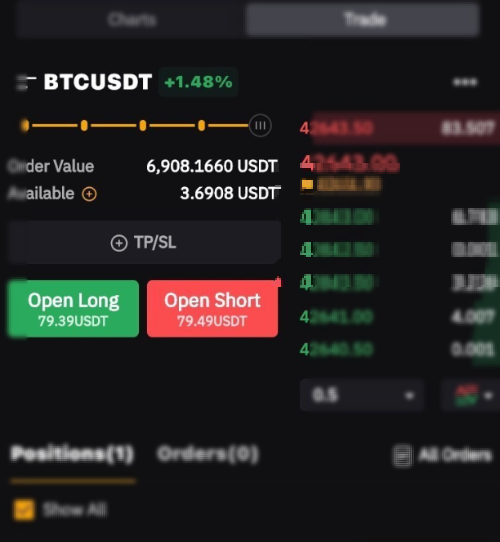 ByBit-spot-trading-options