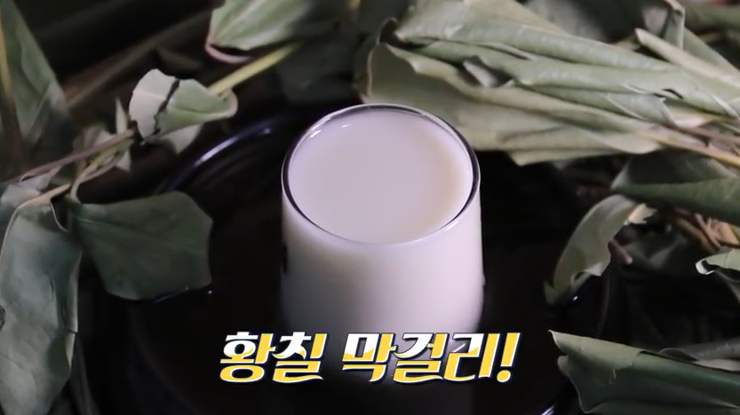  6시내고향 완도 황칠나무 황칠막걸리 3월 27일 방송