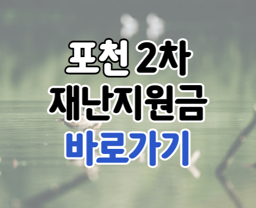 포천시 2차 재난지원금 신청