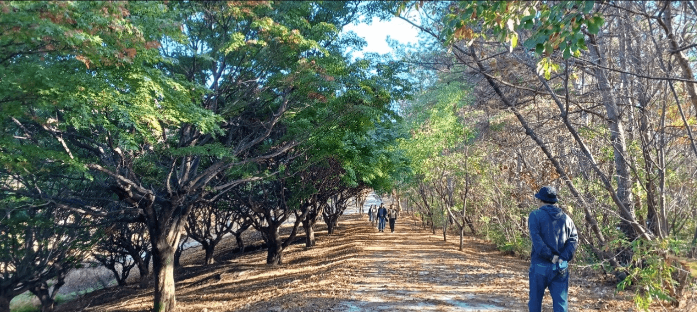 경남수목원-단풍나무