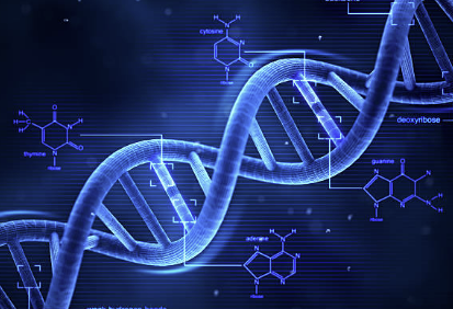 레버씨 유전성 시신경병증