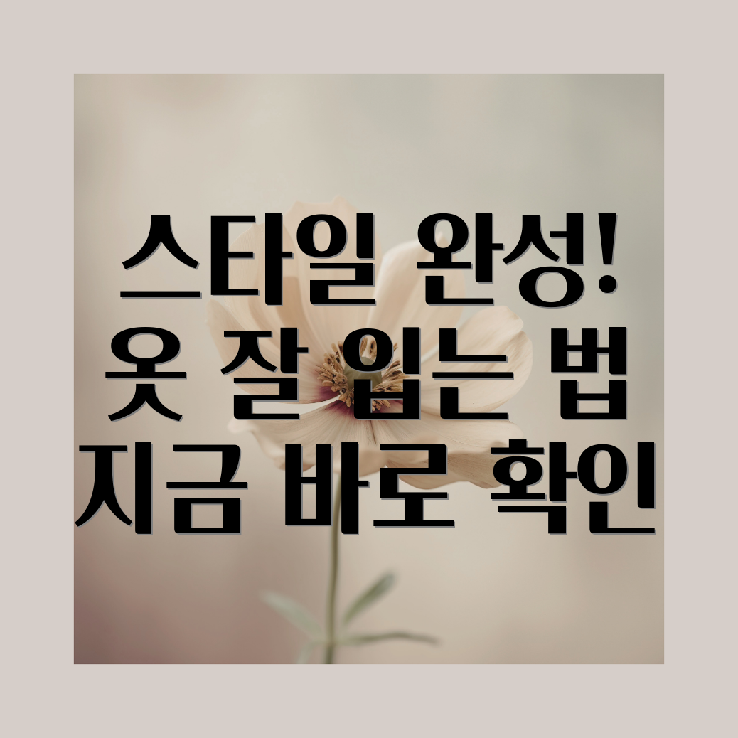 옷 잘입는법