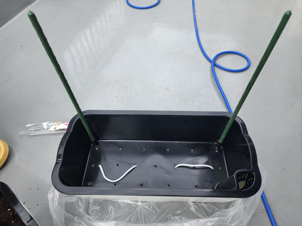 테라스 텃밭 집에서 방울토마토를 기르다 15