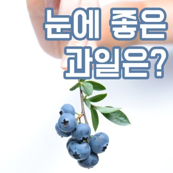  시력에 좋은 과일
