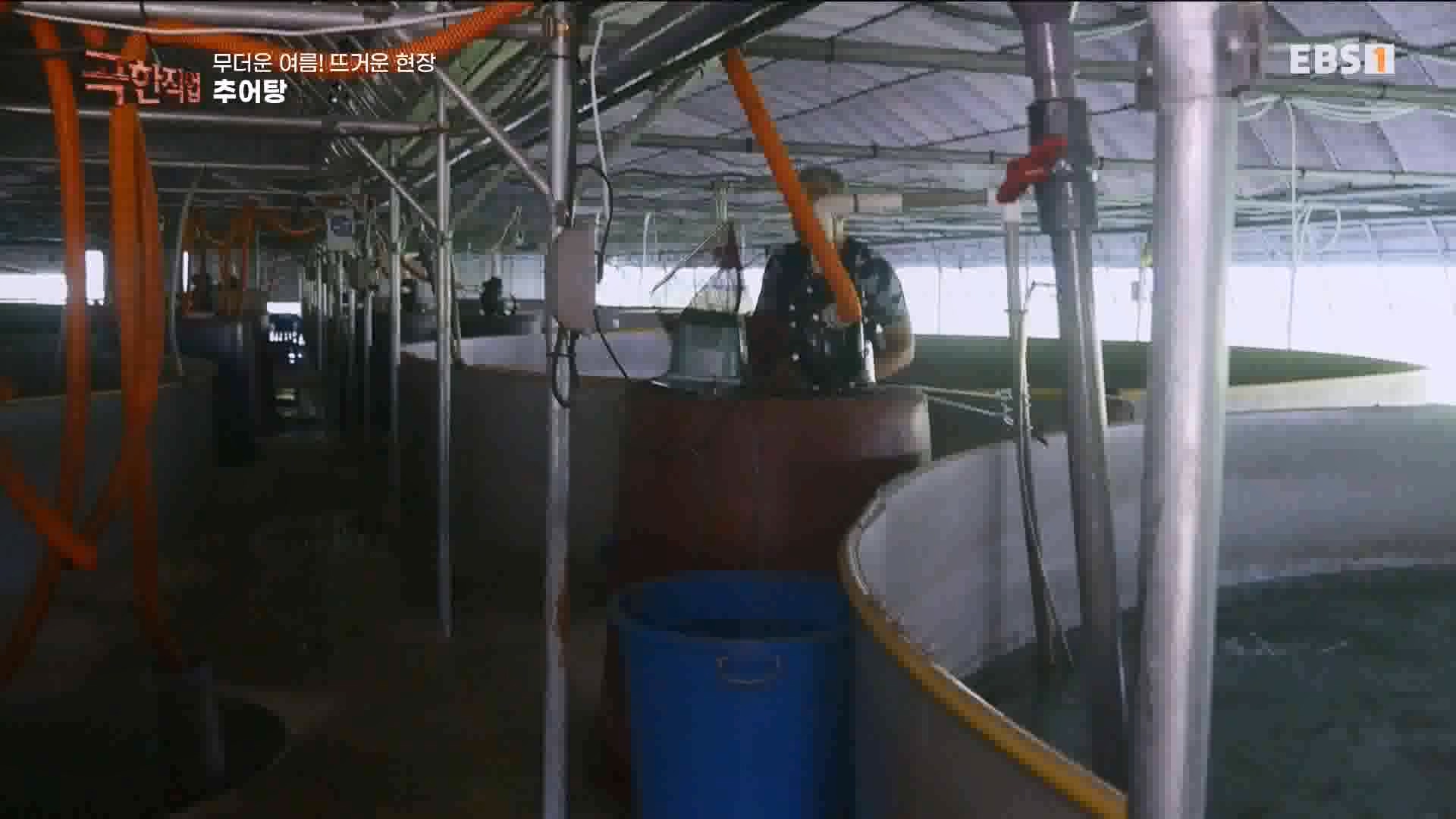 [극한 직업] 가자미잡이와 추어탕 230819.mp4_20230823_203303.473.jpg
