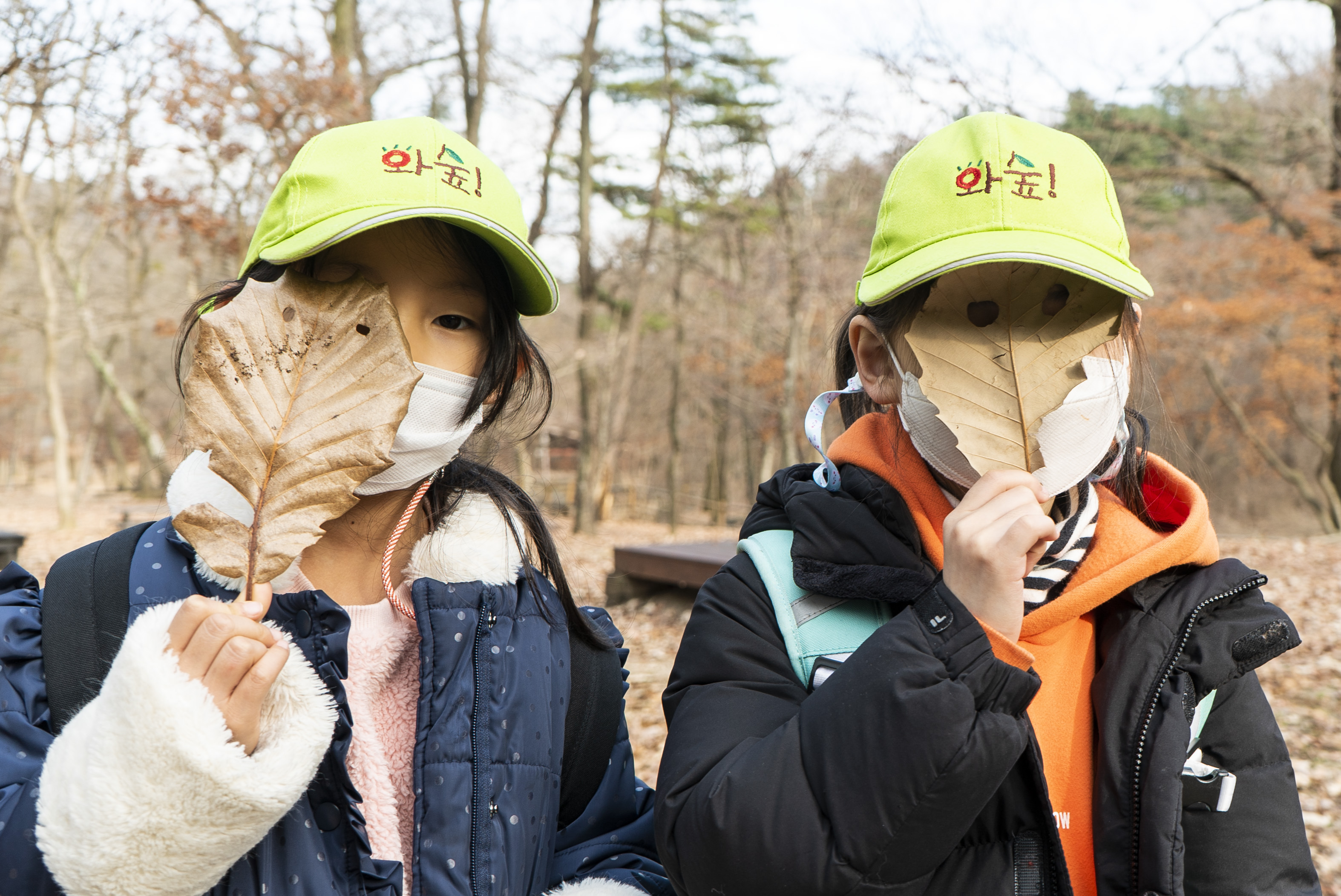 녹색교육 이미지
