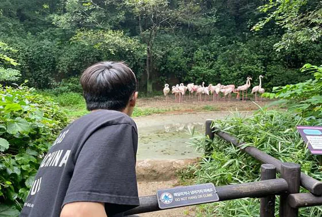 주토피아