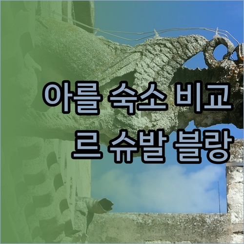 아를 숙소 고민 끝! 르 슈발 블랑,