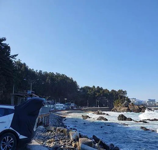 후진항
