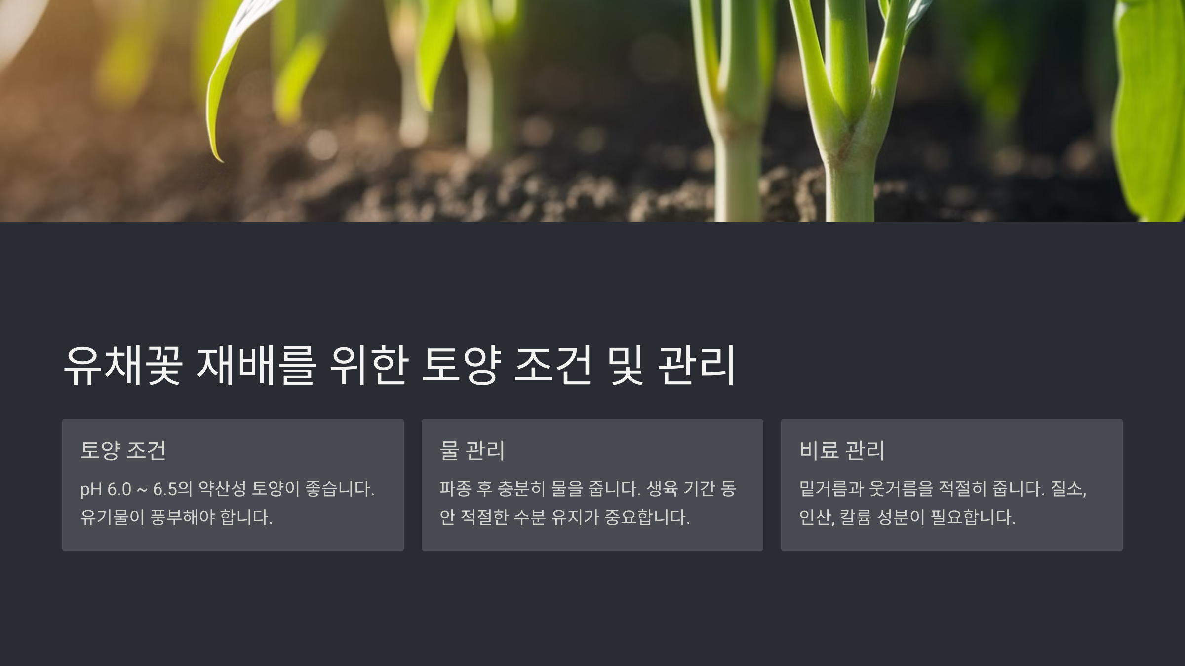 유채꽃 파종 시기와 재배 방법