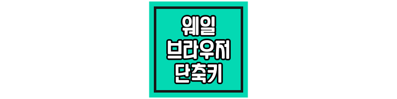 네이버-웨일-브라우저-단축키-섬네일