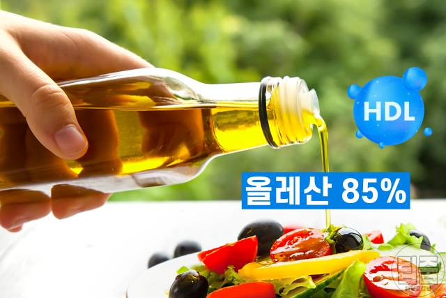 HDL콜레스테롤 높이는 음식 방법,혈관에 좋은 음식 올리브유