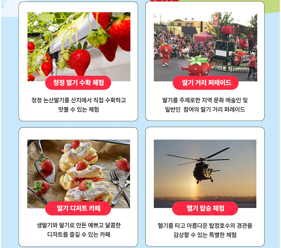 논산 딸기 축제 주요 프로그램 내용