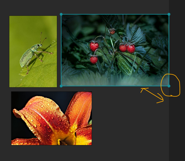 이미지 크기조절 방법