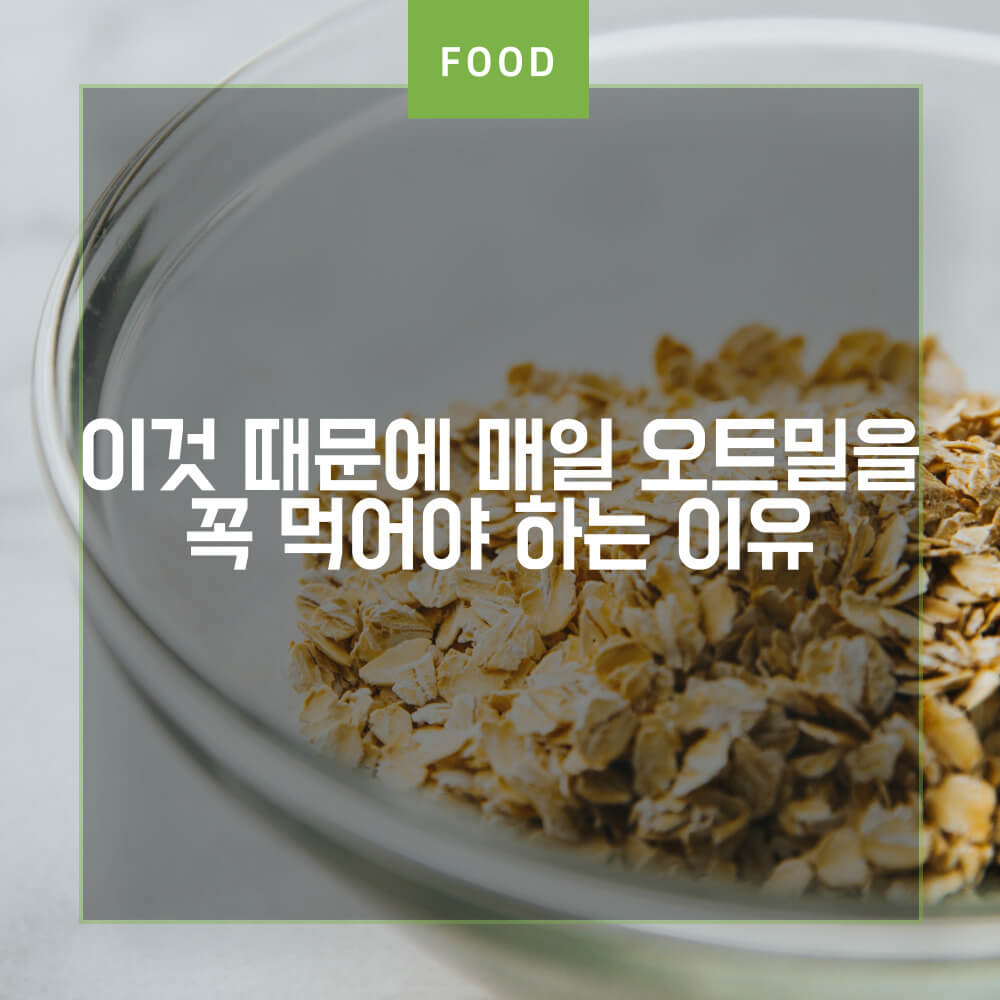  칼로리 낮게 오트밀 먹는법과 오트밀 효능 알아보기