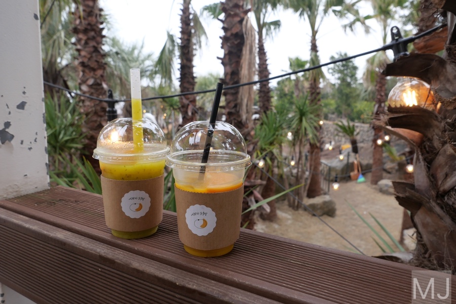 어린왕자 체험 in 감귤밭 카페 69