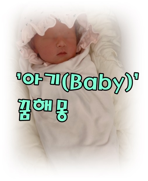  [무료꿈해몽]아기, 갓난아기(신생아) 꿈해몽;쌍둥이꿈,아기업은꿈,아기안아주는꿈,아기죽는꿈,남자임신꿈,처녀임신꿈,임산부,아기태몽,유산하는꿈 등.