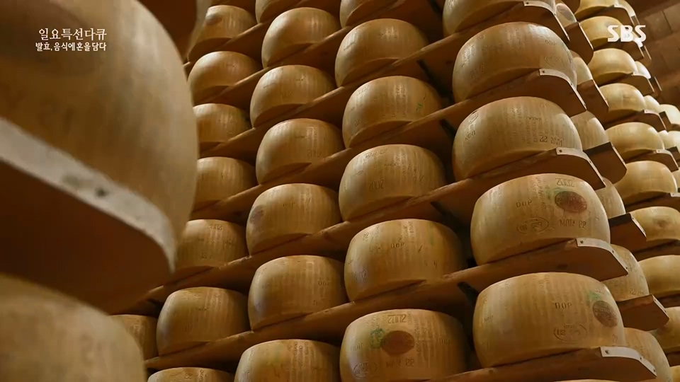 일요 특선 다큐멘터리.E314.230702p.H264-F1RST.mp4_20230708_212155.636.jpg