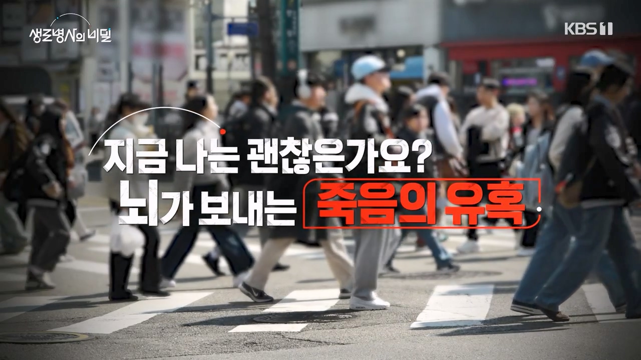 생로병사의 비밀.E905.240321p-NEXT.mp4_20240321_195732.297.jpg