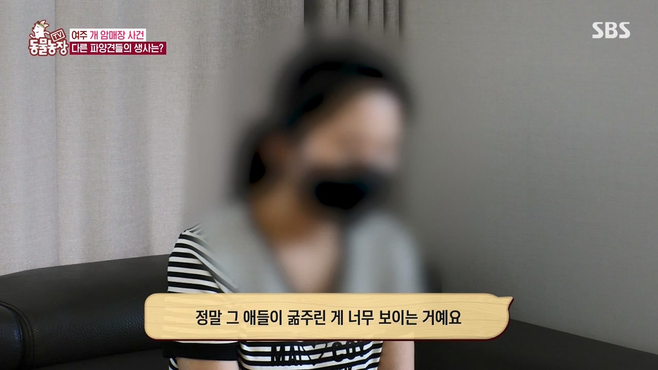 TV 동물농장.E1122.230529p-NEXT.mp4_20230528_170309.039.jpg